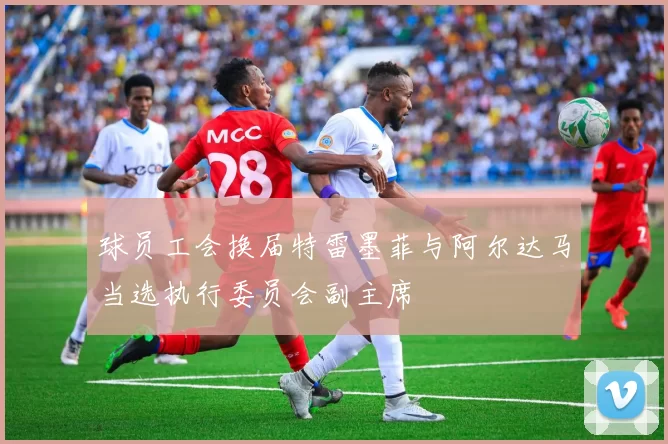 球员工会换届特雷墨菲与阿尔达马当选执行委员会副主席