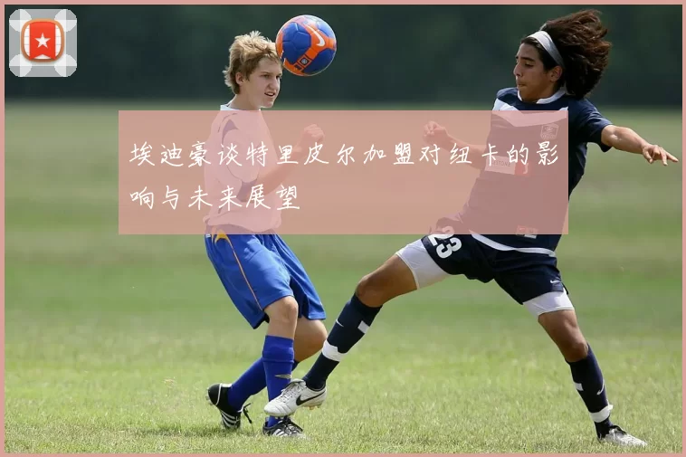 埃迪豪谈特里皮尔加盟对纽卡的影响与未来展望