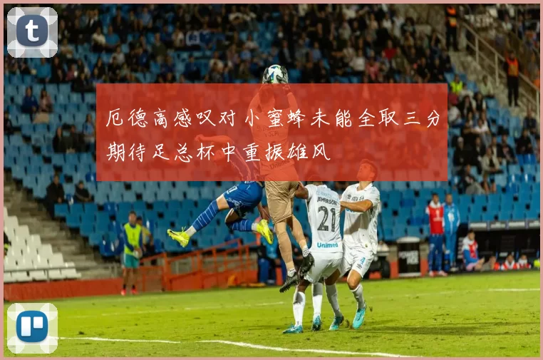厄德高感叹对小蜜蜂未能全取三分期待足总杯中重振雄风
