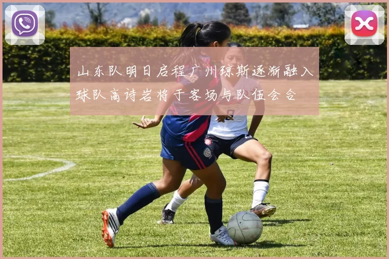 山东队明日启程广州琼斯逐渐融入球队高诗岩将于客场与队伍会合